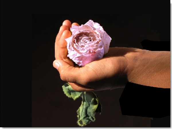 Creation of Romancing Rose: Step 2